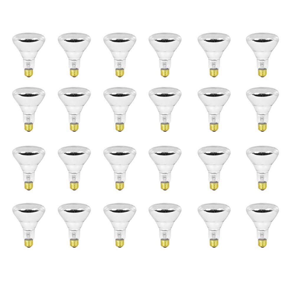 Feit Electric 100-Watt Soft White (2700K) BR30 Dimmable Incandescent 12-Volt Pool and Spa Flood Light Bulb (24-Pack)