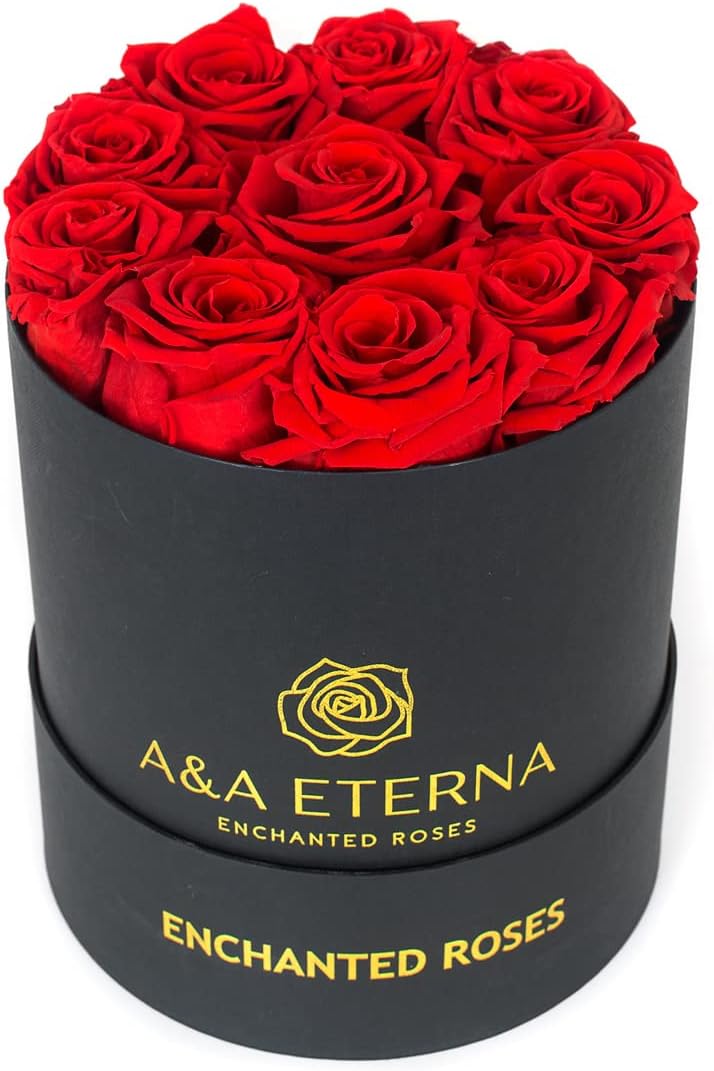 Geral 12 Preserved Red Rose in a Black Round Box
