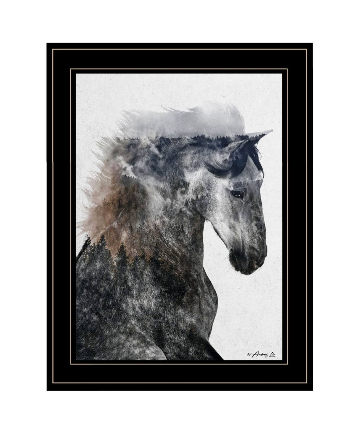 Trendy Decor 4U 19 in. Proud Stallion by Andreas Lie Black Framed Art