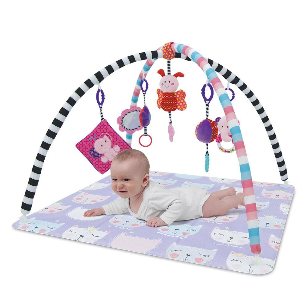 Baby Care Cat Activity Gym in Blue