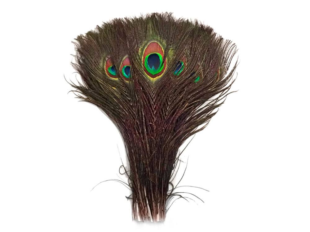 Moonlight Feather 1000 Pieces - 10-12x22 Natural Peacock Tail Eye Wholesale Feathers (Bulk)