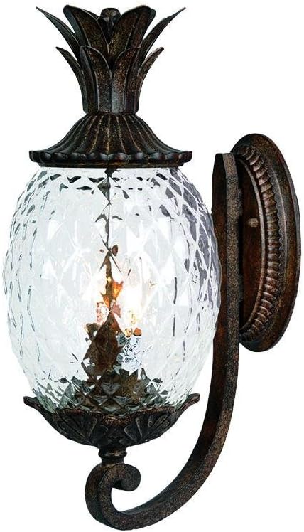 Acclaim VC-7501BC-2 Lanai Collection 2 Wall Mount Outdoor Light Fixture, Black Coral-2 Pack