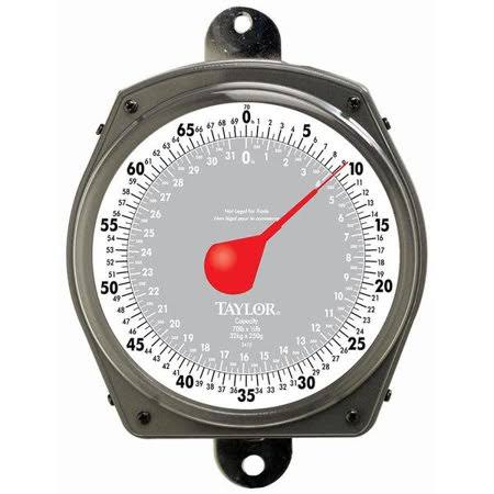 Taylor 34704104 Dial Industrial Hanging Scale w/ Hang Hook , 70 lb Capacity
