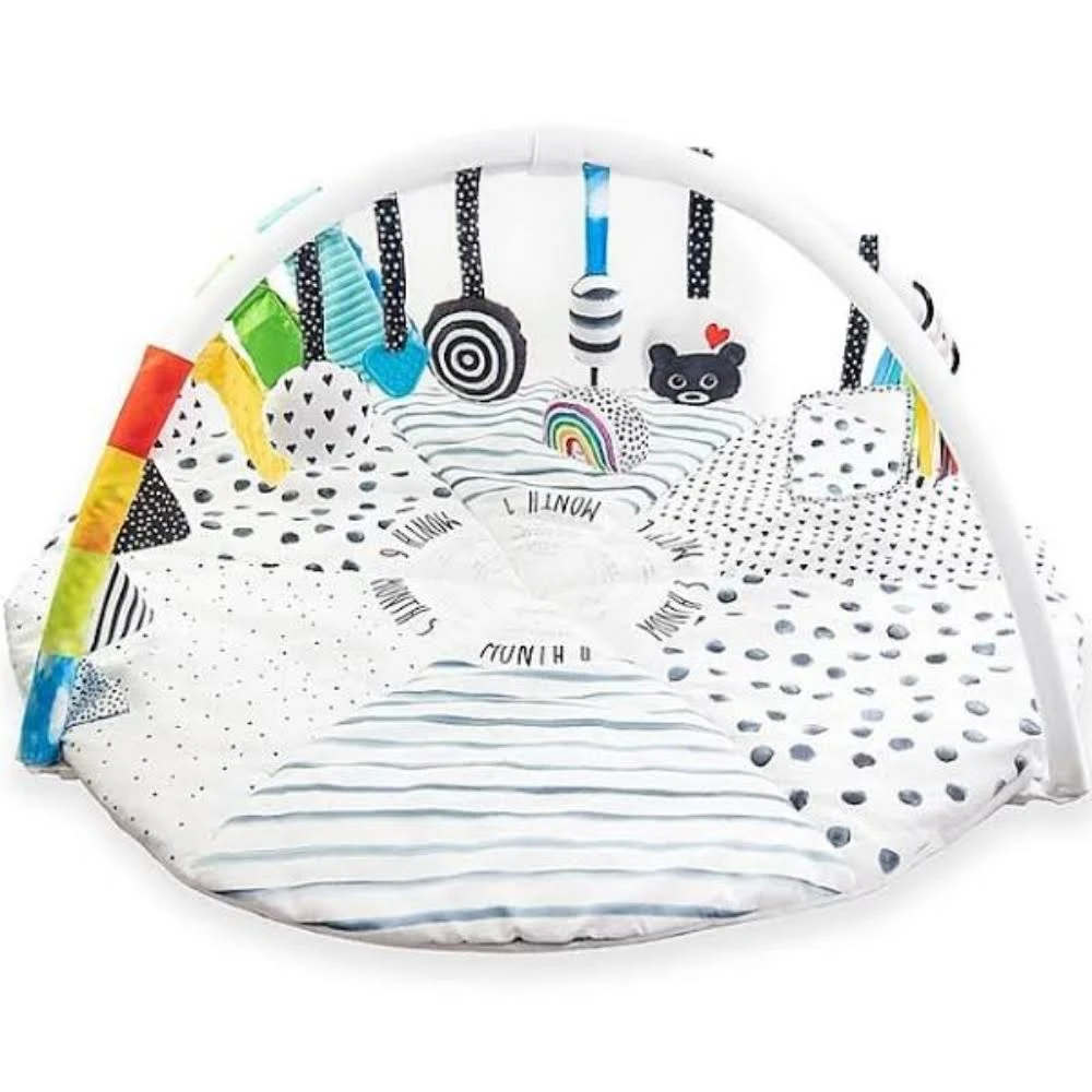 Sassy Tummy Time Reversible Milestone Activity Gym