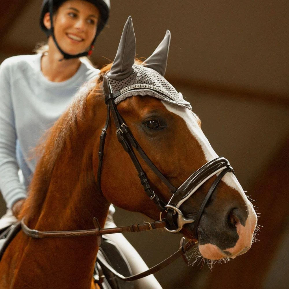 Horze Grayson Snaffle Bridle Horse / Black