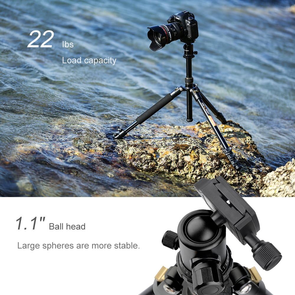 K&F Concept 62'' DSLR Tripod, Lightweight and Compact Aluminum Camera Tripod with 360 Panorama Ball Head Quick Release Plate for Travel and Work (TM2324 Black)