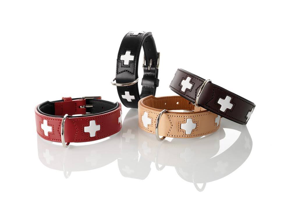 Swiss Dog Collar for Brown and Black Dogs T-50 Hunter