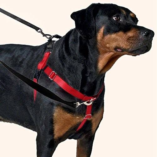Freedom No-Pull Dog Harness Training Package, X-Large, Tan