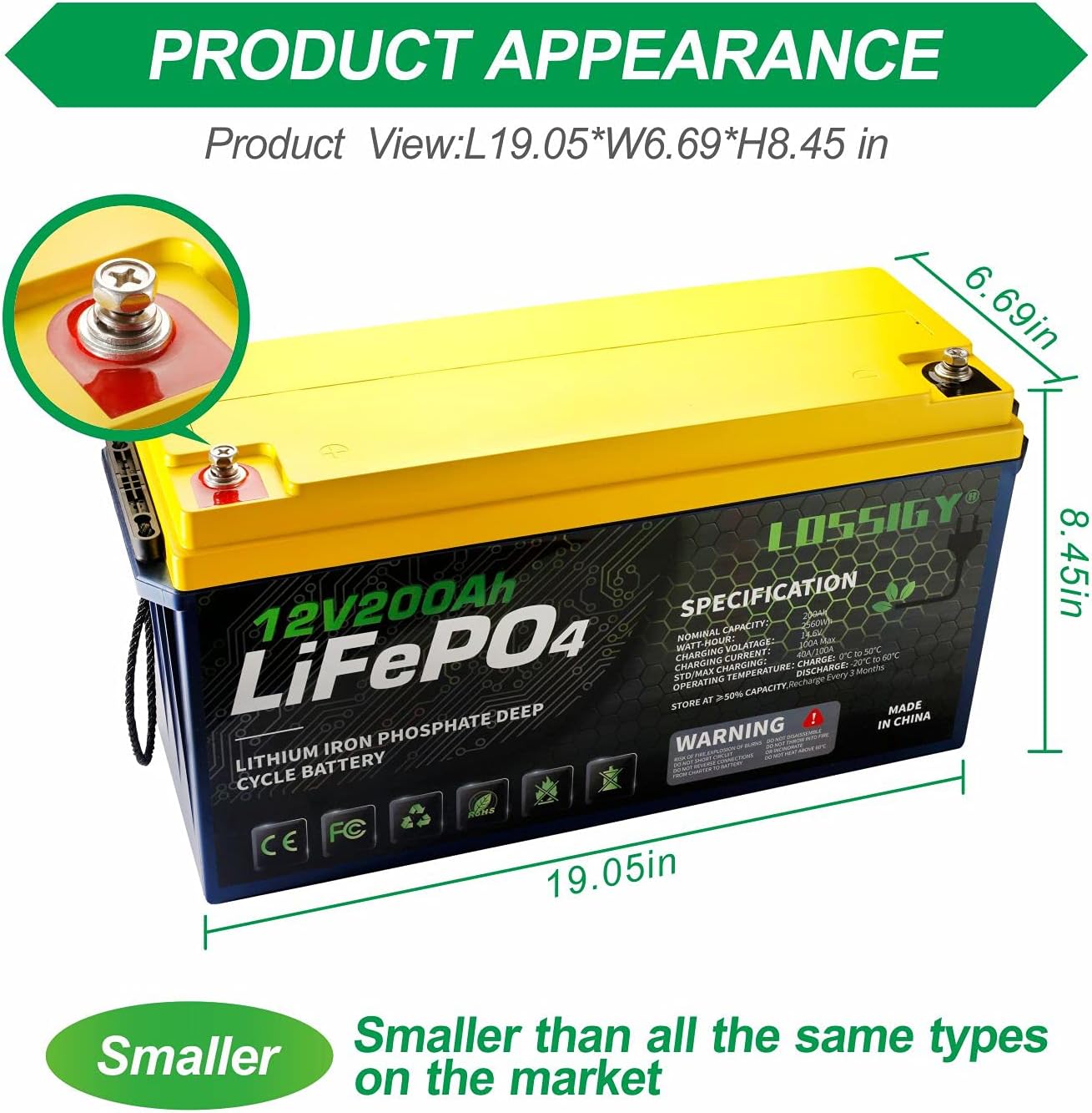 LOSSIGY Lifepo4 12 Volt 200AH Deep Cycle Lithium ion Battery Perfect Replace for RV/Camper/Trailer Solar/Wind Power System Marine Battery, Maintenance-Free Built in 100A BMS