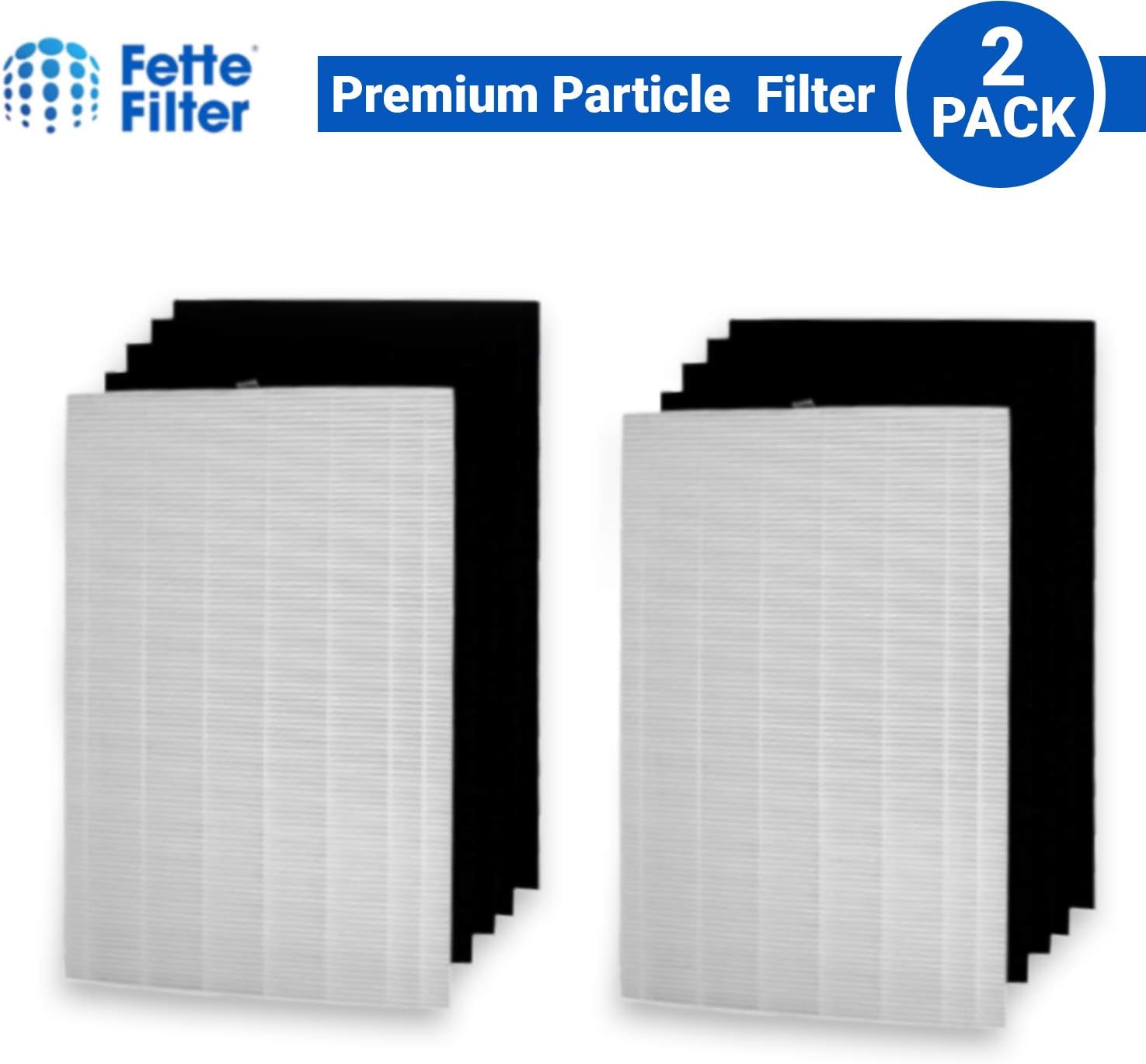 Fette Filter - 2 HEPA Filters + 8 Carbon Activated Filters For Fellowes AeraMax 200 Air Purifier Model # 190/200/DX55 Pack of 2