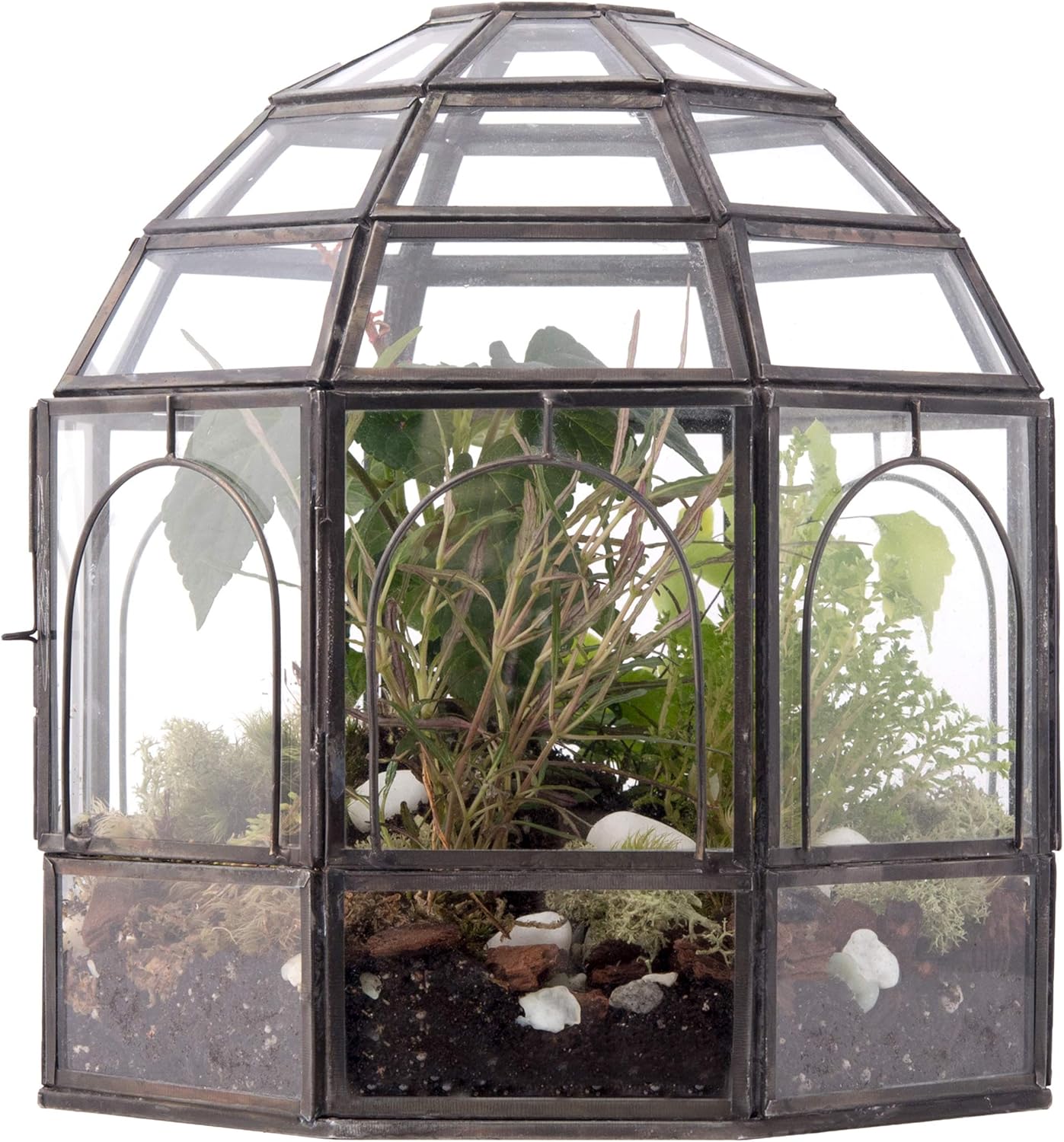 Urban Born Birdcage Large Glass Terrarium — 10