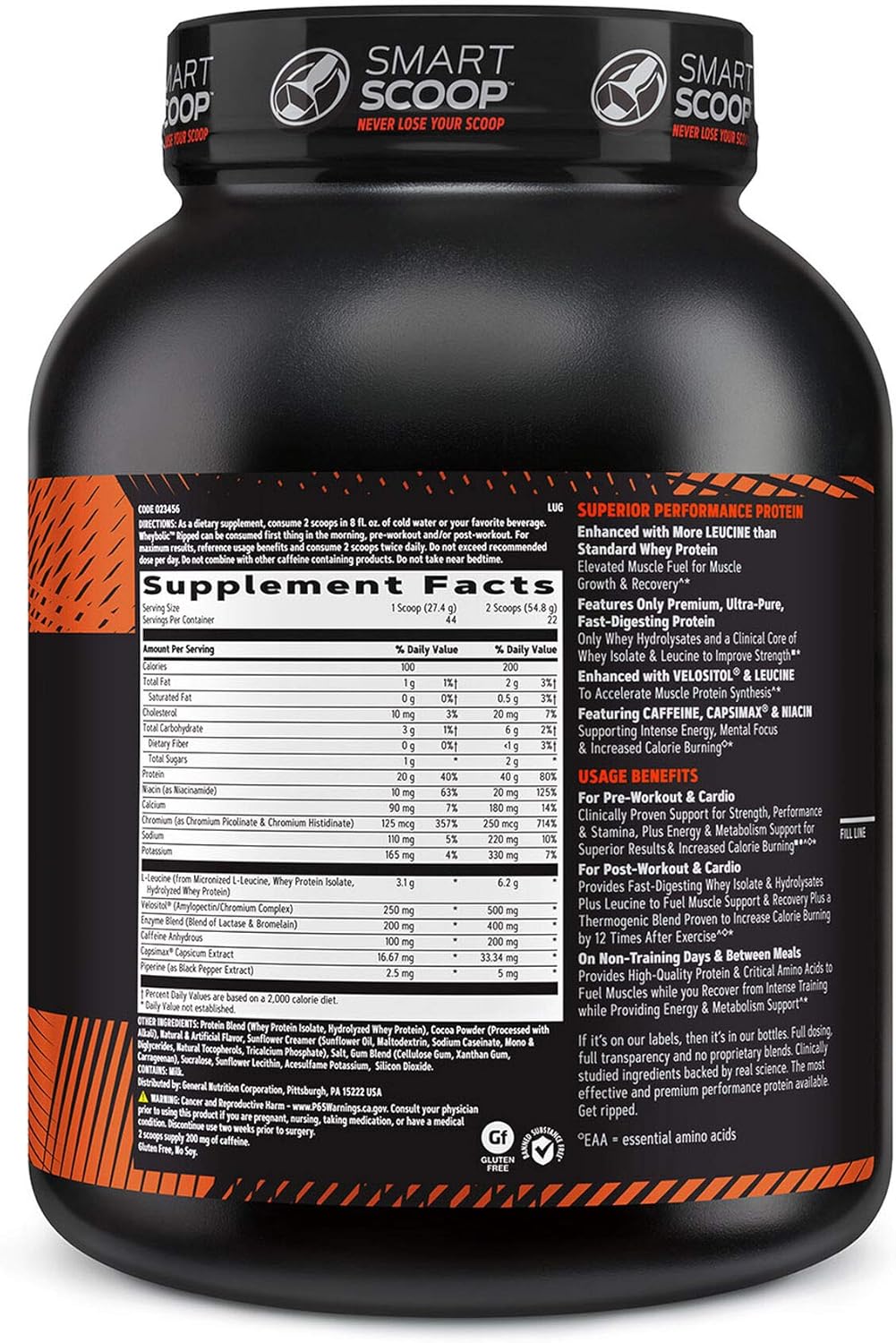 GNC AMP Wheybolic Ripped | Targeted Muscle Building and Workout Support Formula | Pure Whey Protein Powder Isolate with BCAA | Gluten Free | 22 Servings | Chocolate Fudge Pack of 2