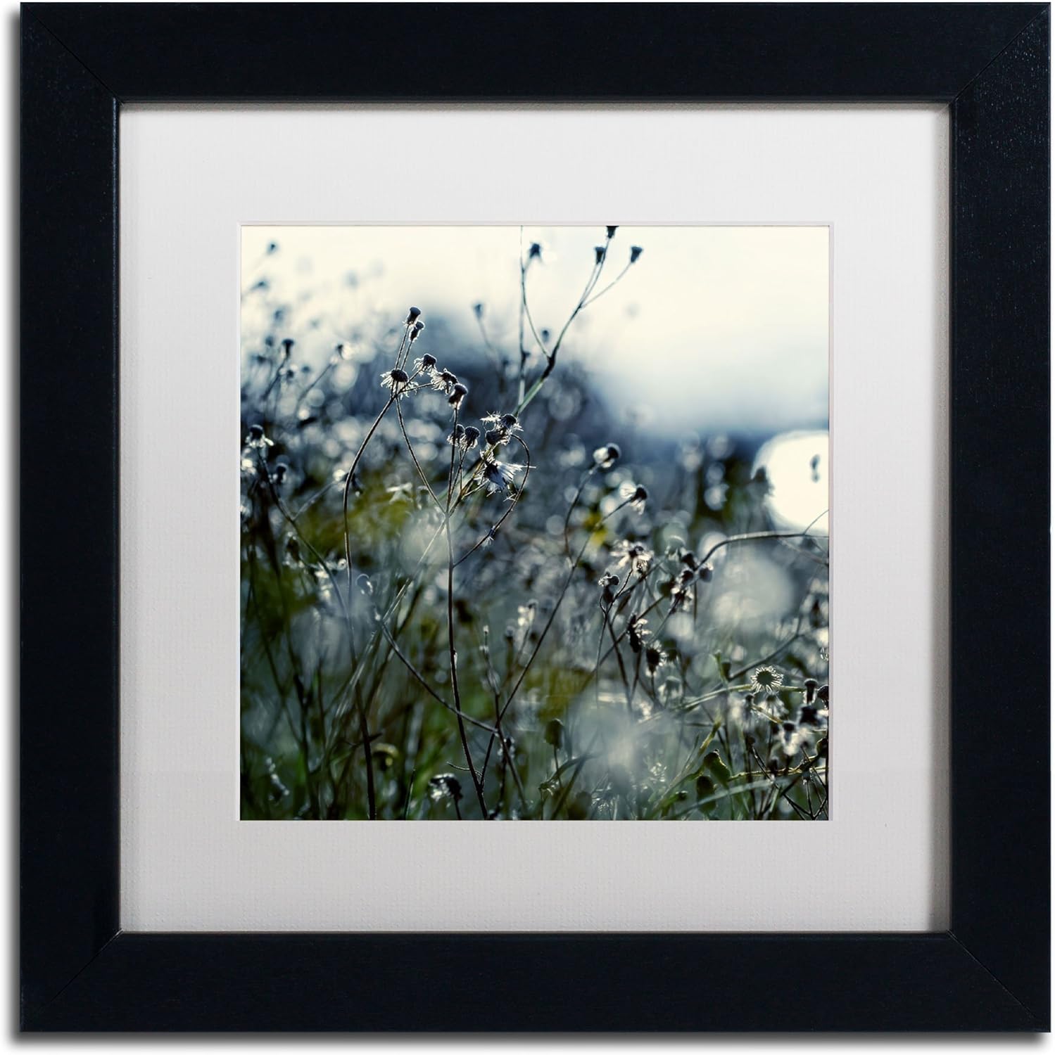 In Silence Artwork Beata Czyzowska Young in White Matte and Black Frame, 11 by 11-Inch Pack of 2