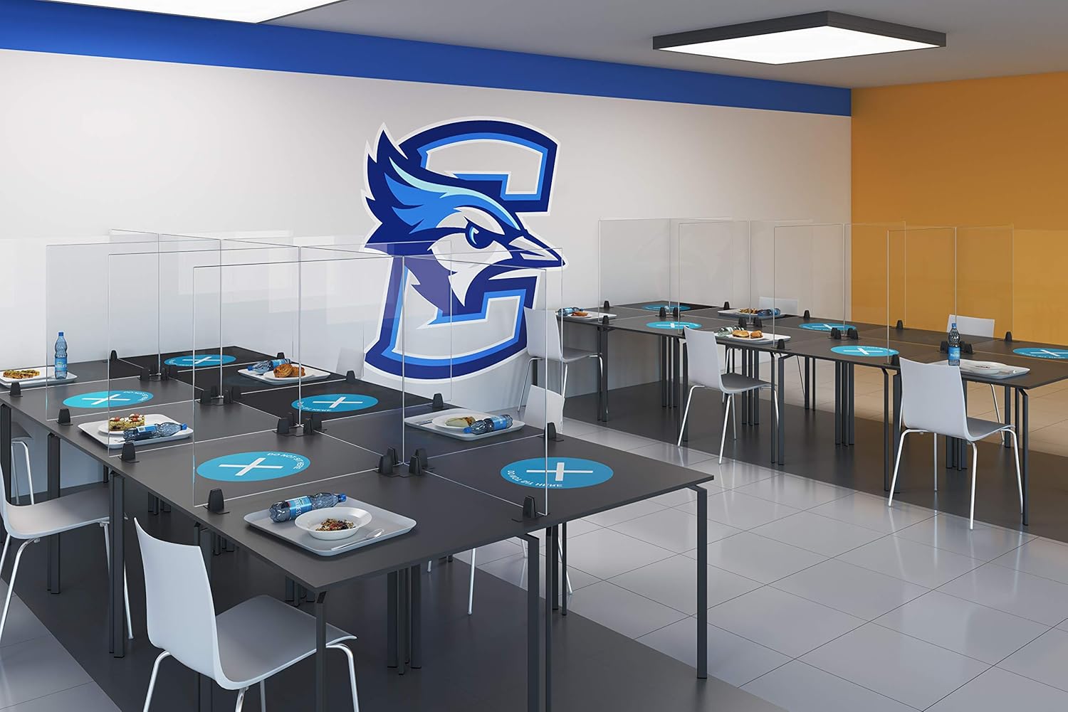 Stand Steady Clear Desktop Panel | Freestanding Protective Acrylic Shield & Sneeze Guard |Portable Desk Divider for Desks & Tabletops | for Offices, Schools, Libraries & More (60 x 30)