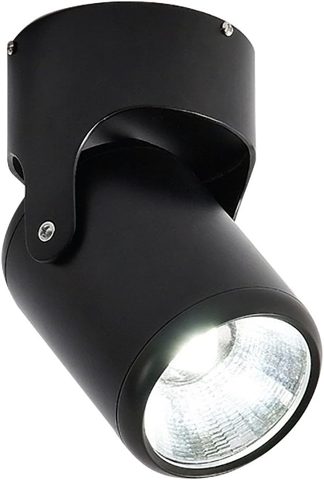 Aolyty Modern LED Ceiling Spotlight Downlight White Light 6000K 360&deg;Adjustable Wall Accent Spotlight for Decoration Indoor Use Multiple Color (12W, White)