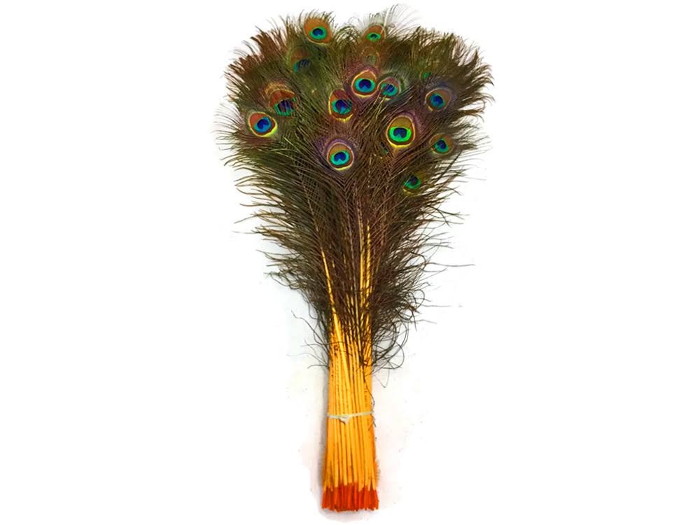 100 Pieces - 30-35x22 Golden Yellow Dyed Over Natural Peacock Tail Eye Wholesale Feathers (Bulk)