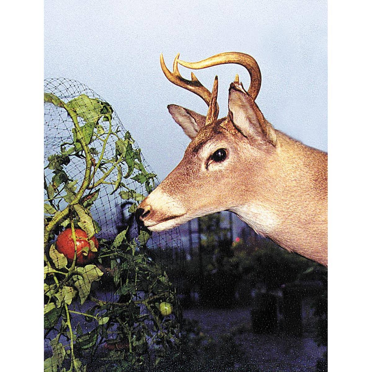 Dewitt G-DDF7350 Deer Fence, 7 ft. H, 350 ft. L, Black