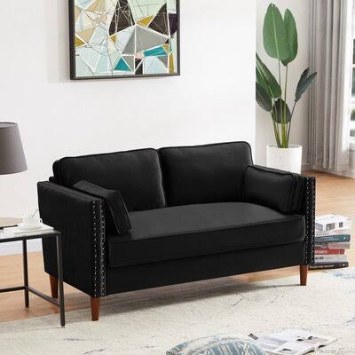 2p Loveseat Black House of Hampton Fabric: Black Velvet