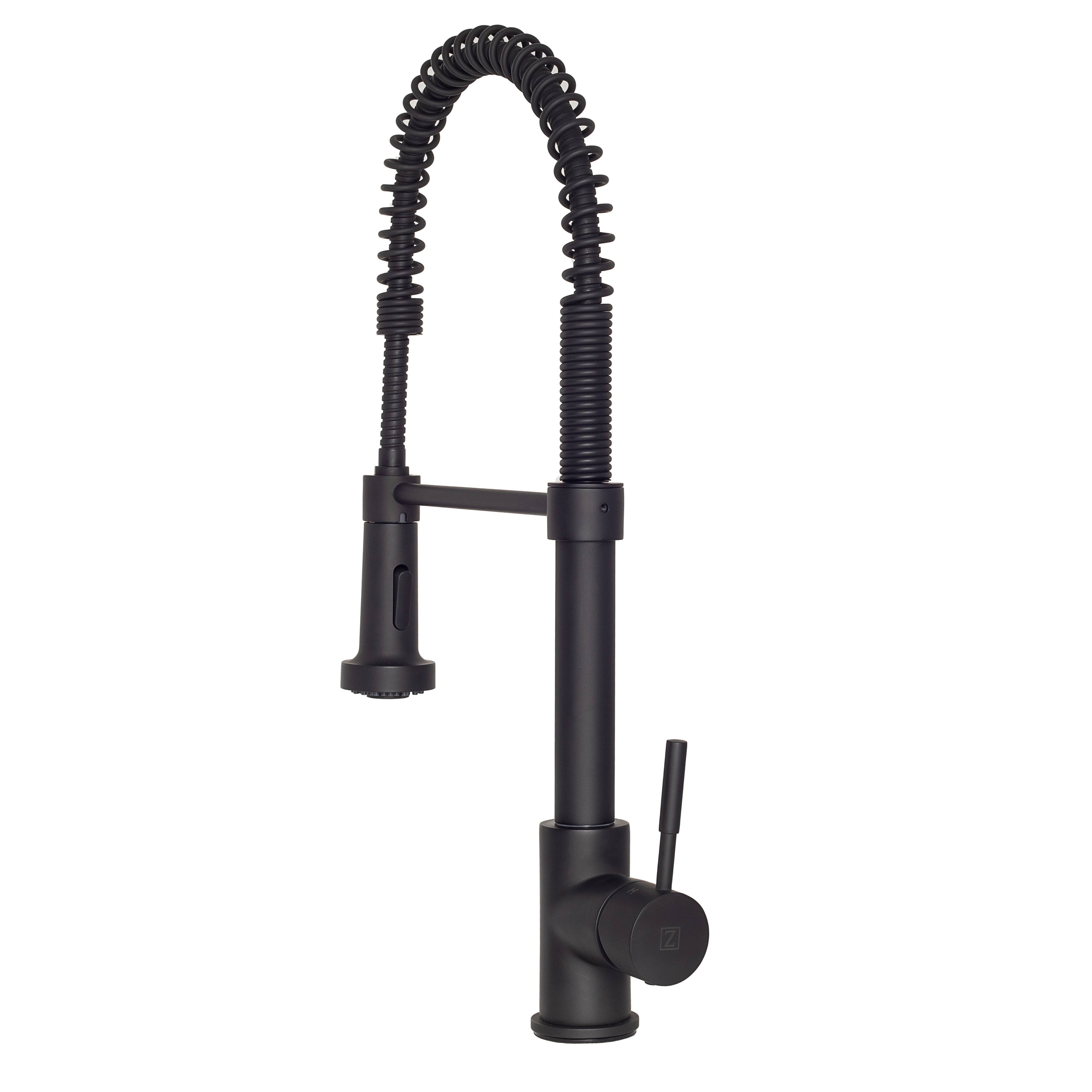 ZLINE Apollo Kitchen Faucet, Matte Black FSNZ-MB