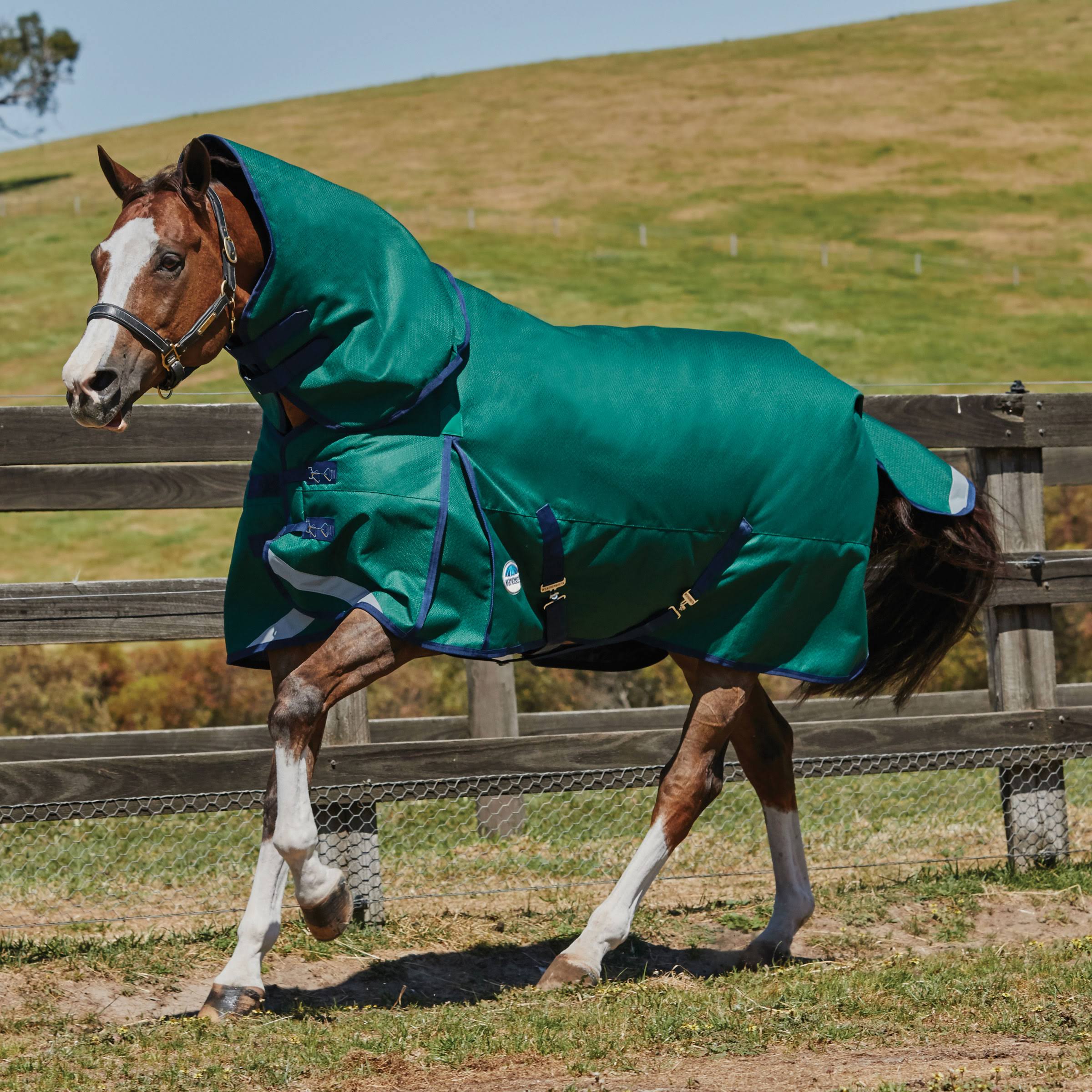 Weatherbeeta ComFiTec Plus Dynamic Detach A Neck Heavy