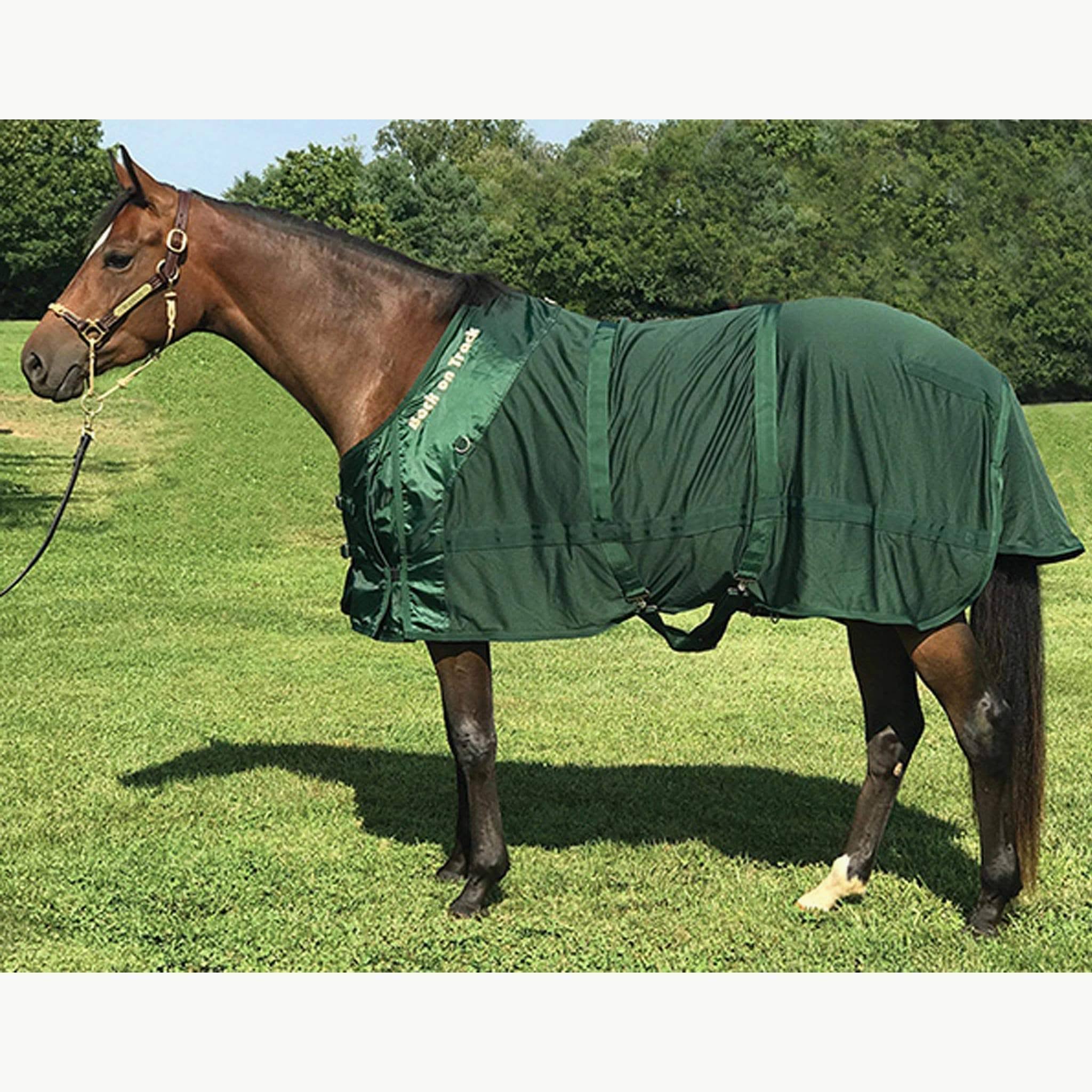 Back on Track Therapeutic Mesh Sheet- Colors