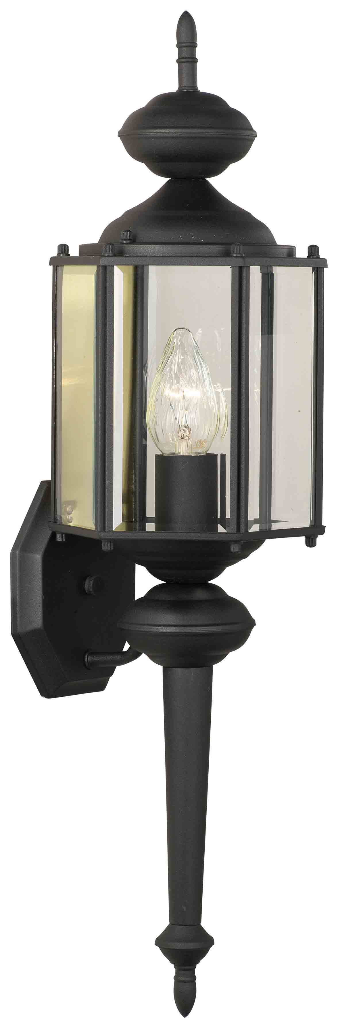 Thomas Lighting Brentwood 1-Light Outdoor Wall Lantern - Black - SL92437
