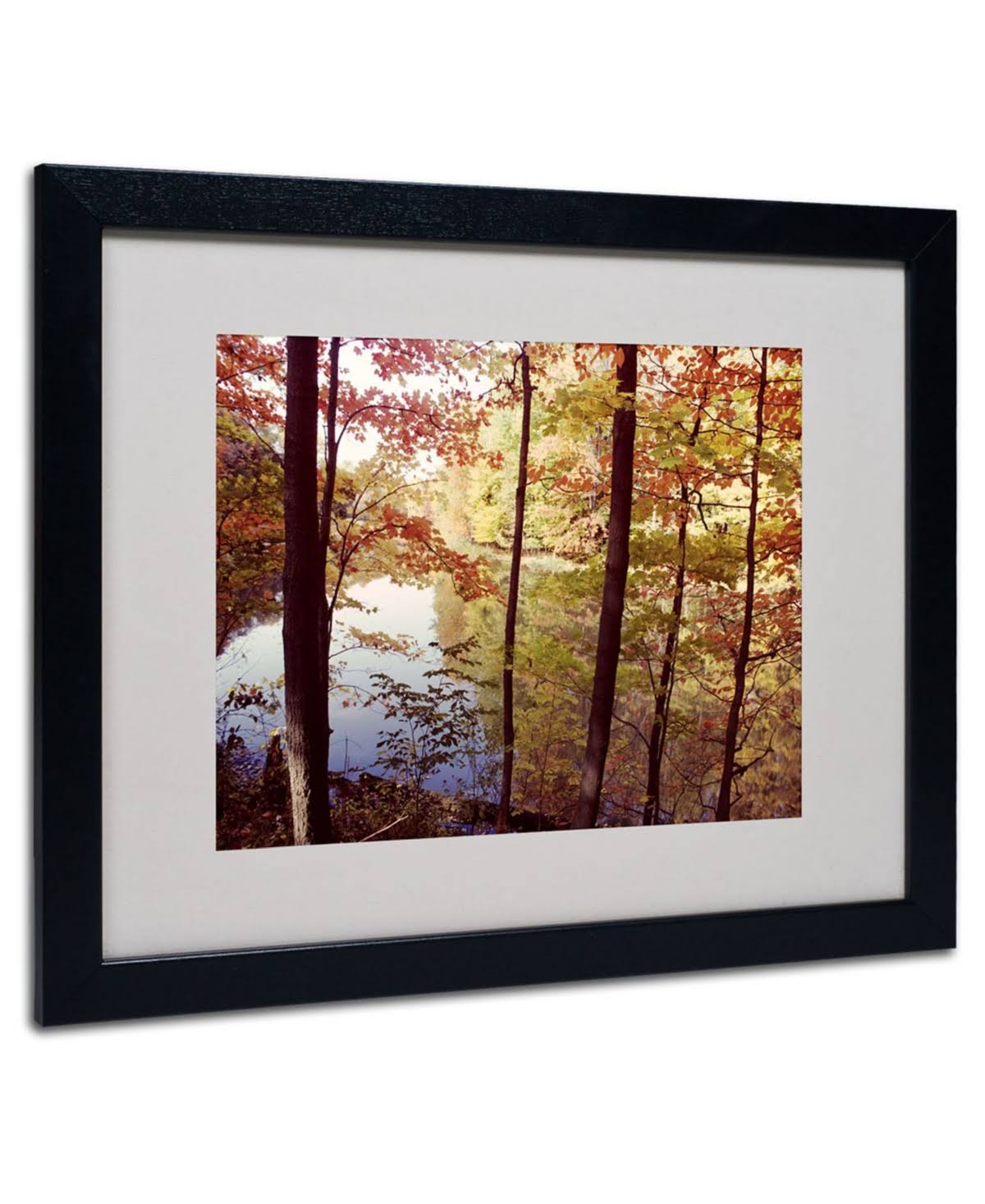 Trademark InchA Secret Pond inch Framed Matted Art by Kurt Shaffer, Black