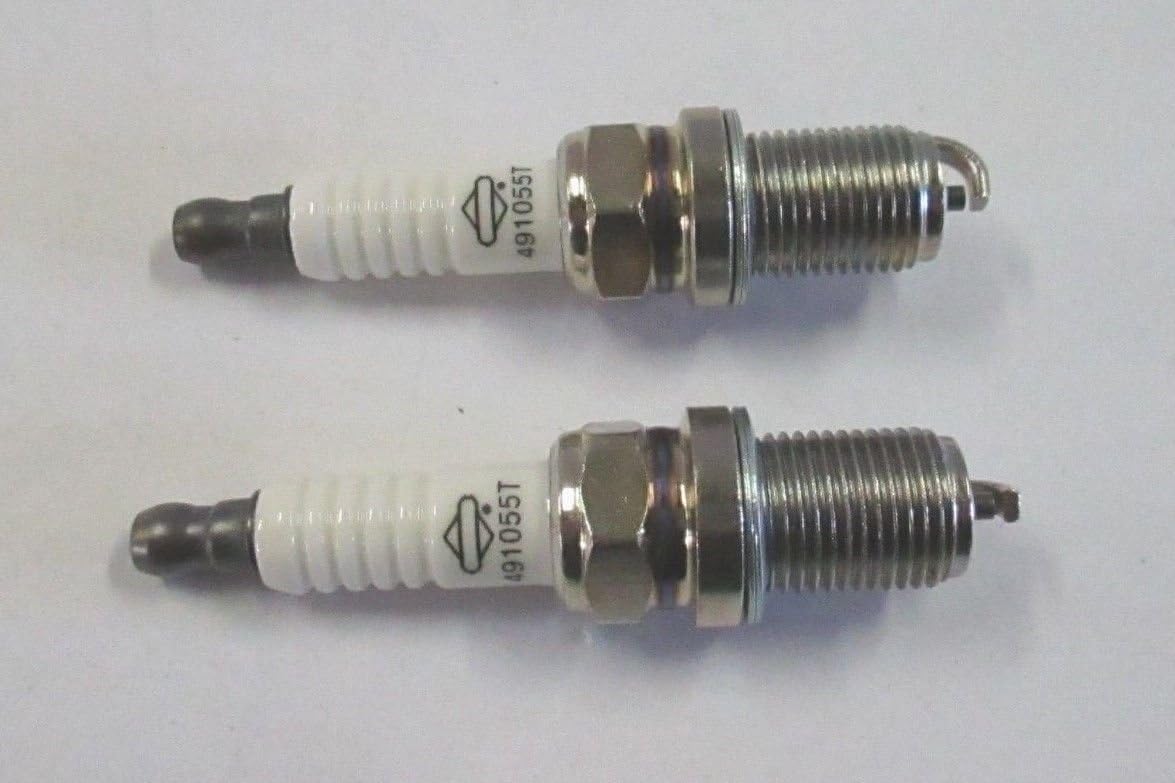 Briggs & Stratton 491055S - 2 Pack