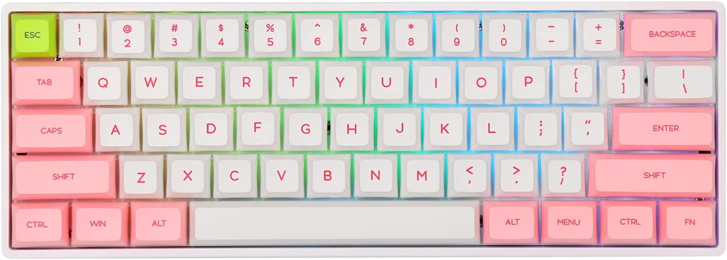 EPOMAKER SKYLOONG SK61 61 Keys 60% Hot Swappable Programmable Mechanical Gaming Wired Keyboard with RGB Backlit, NKRO, Water-Resistant, Type-C Cable for Win/Mac/Gaming (Gateron Optical Red, Panda)