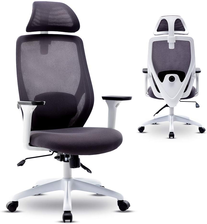 Bonzy Home Ergonomic Office Chair,High Back Mesh Computer Chair with Lumbar Support and Rollerblade Wheels Adjustable Armrest, and Headrest,Home Office Chair with Tilt Function and Position Lock,White