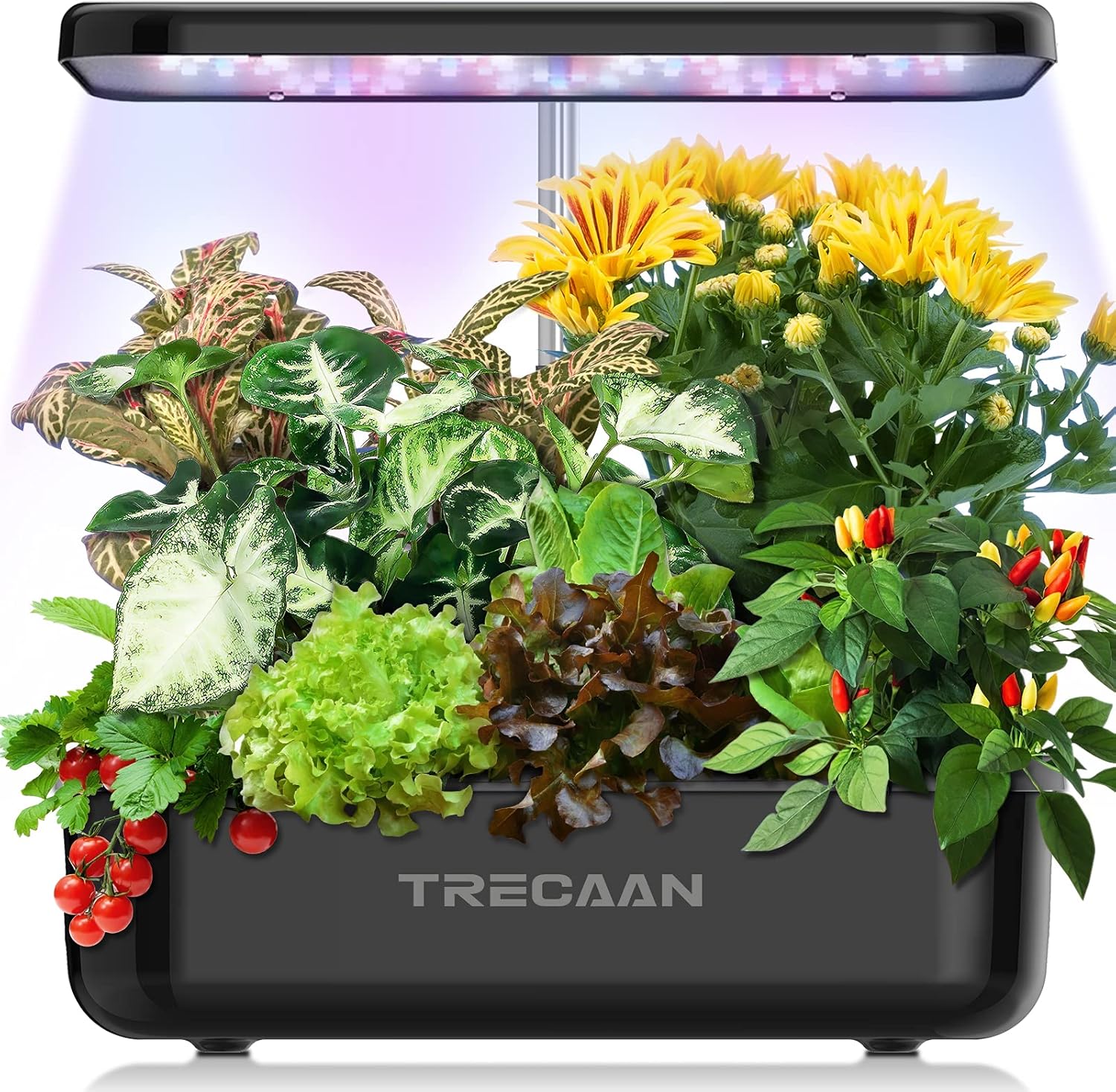 Trecaan Hydroponic Growing System 15 Pods Black