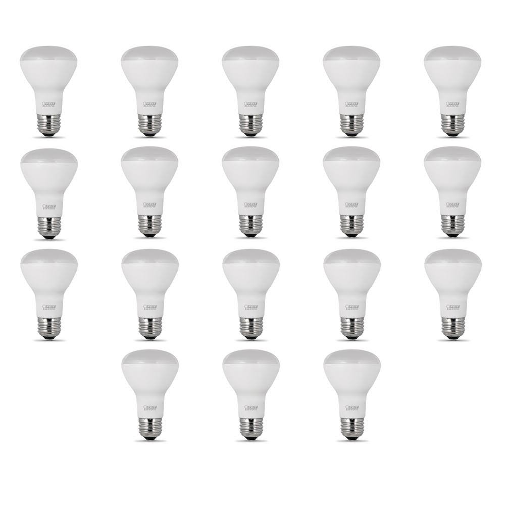 45-Watt Equivalent (2700K) R20 LED Light Bulb, Soft White (18-Pack)