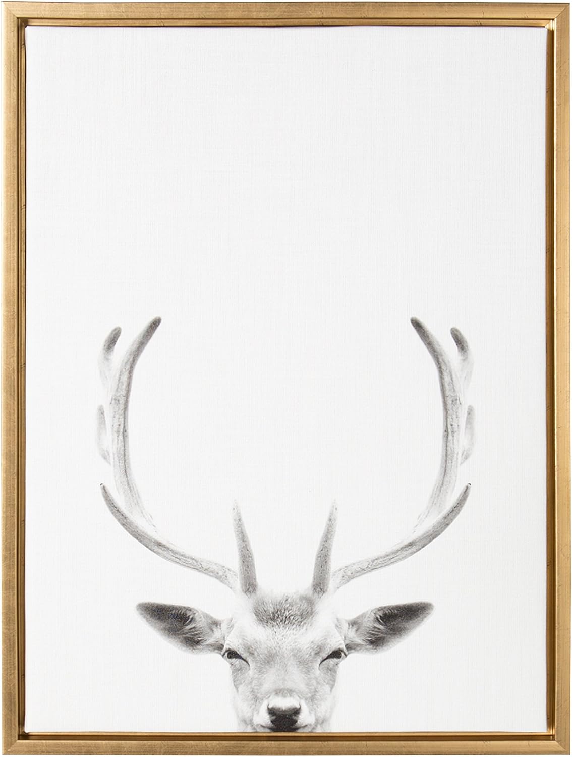 Kate and Laurel Sylvie Deer Portrait Framed Canvas by Simon Te Tai, 23x33, Gray Pack of 2