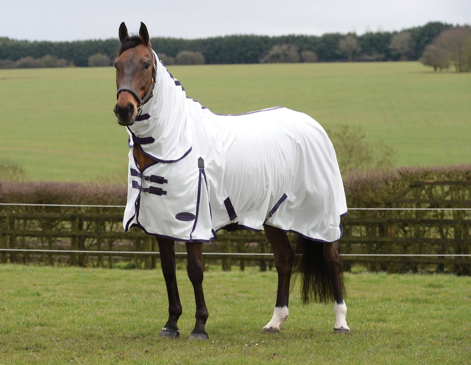 Weatherbeeta ComFiTec Essential Mesh II, White/Purple/Black / 6&5