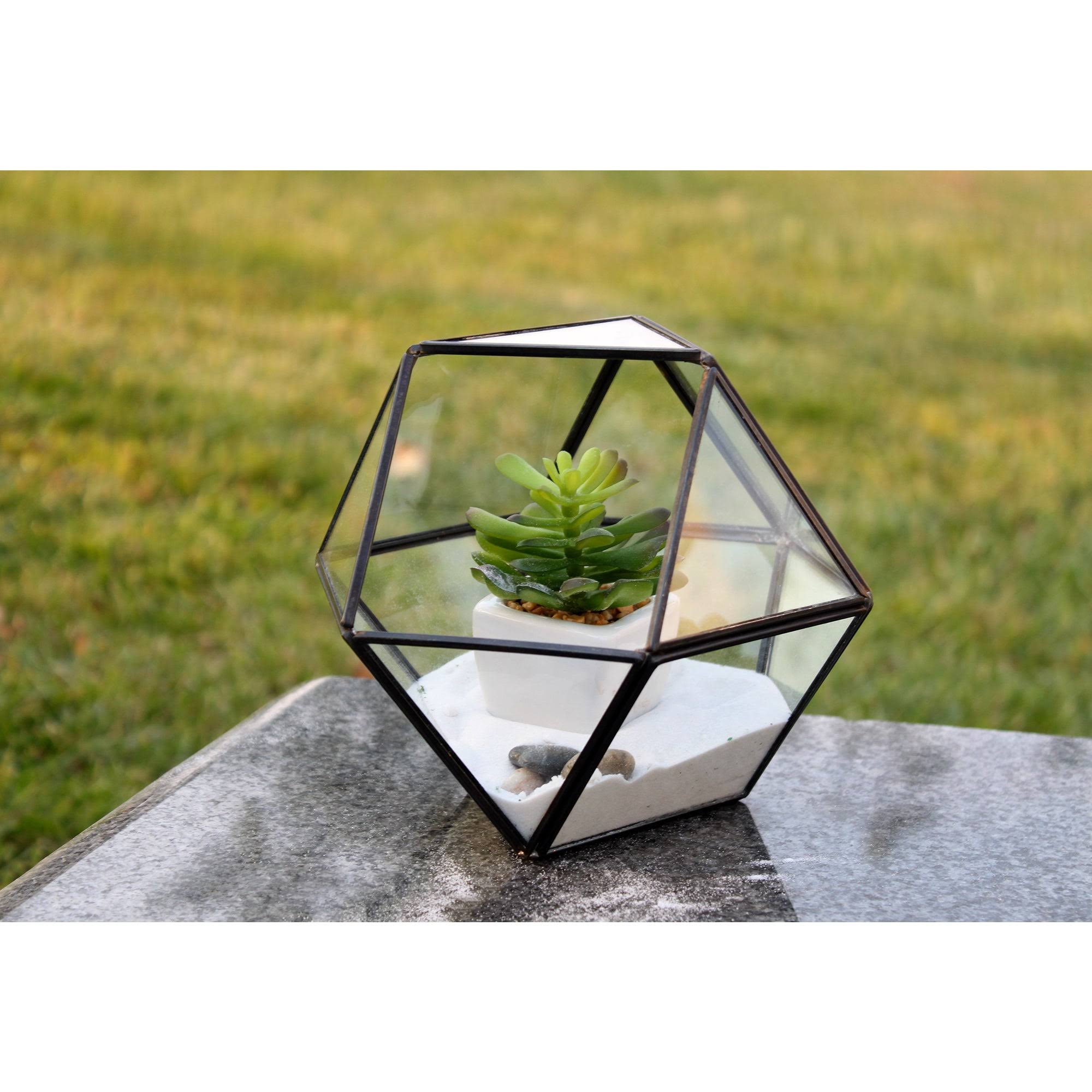 Cuboctahedron Multi-Facet Ball Geometric Terrarium - Black
