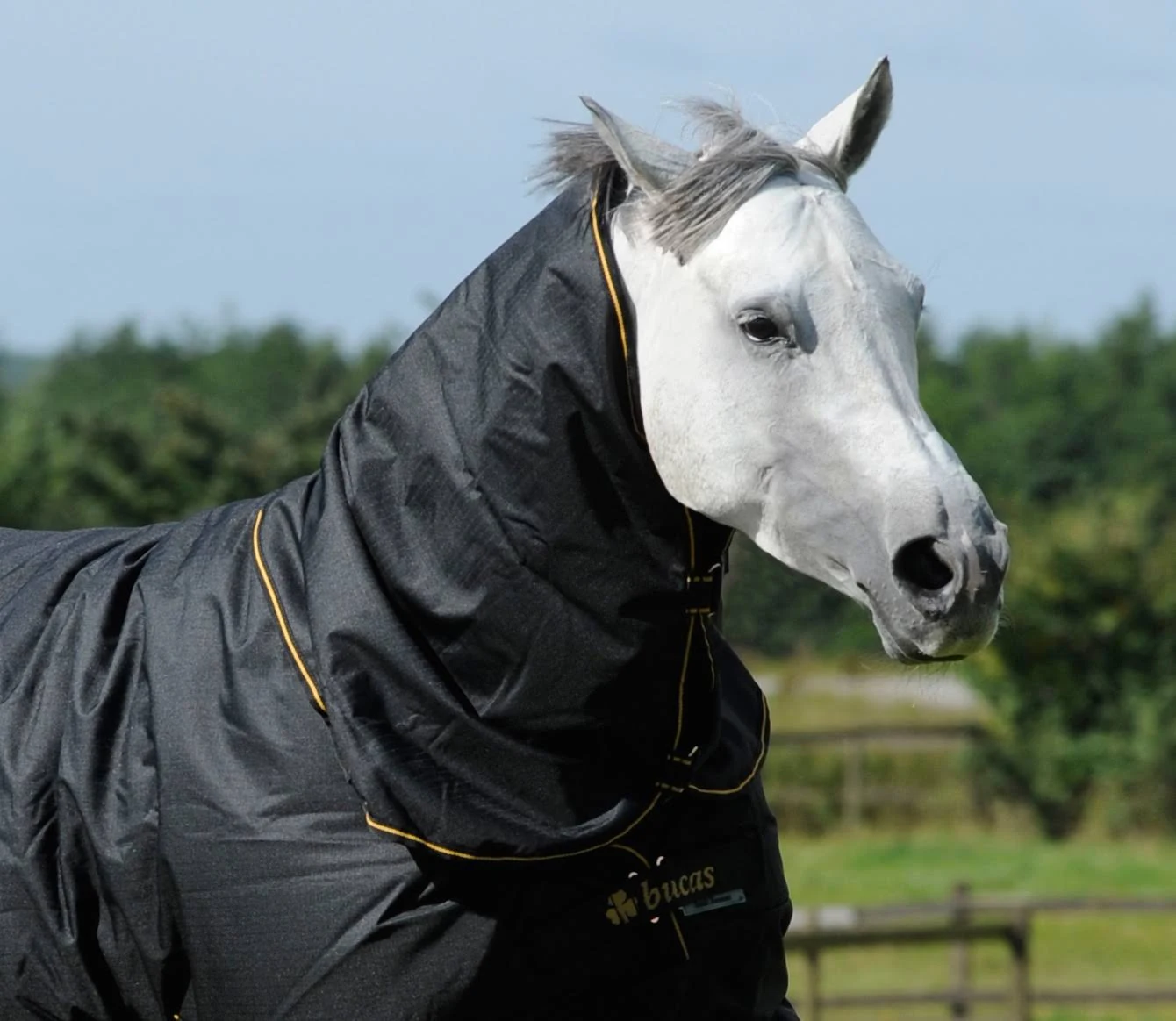 Bucas Irish Turnout Combi Neck Black