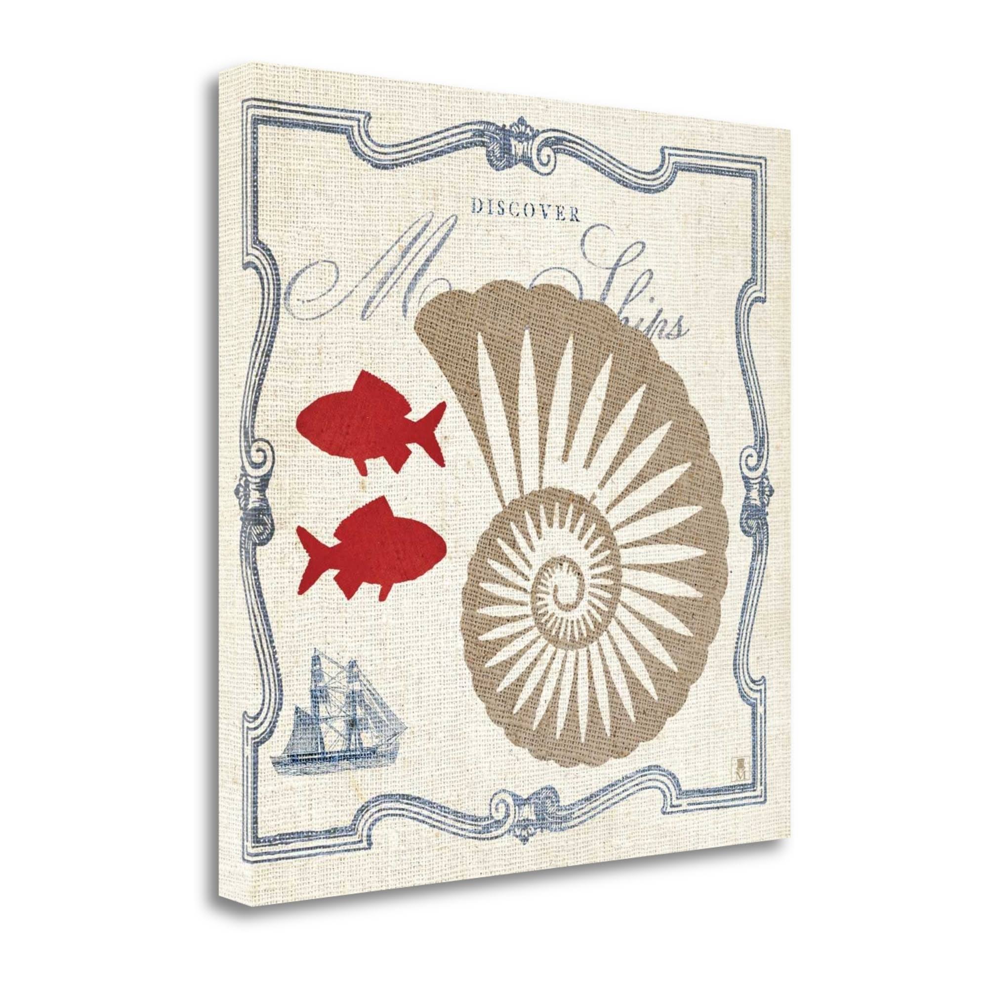 Tangletown Fine Art Pacific Nautilus by Studio Mousseau