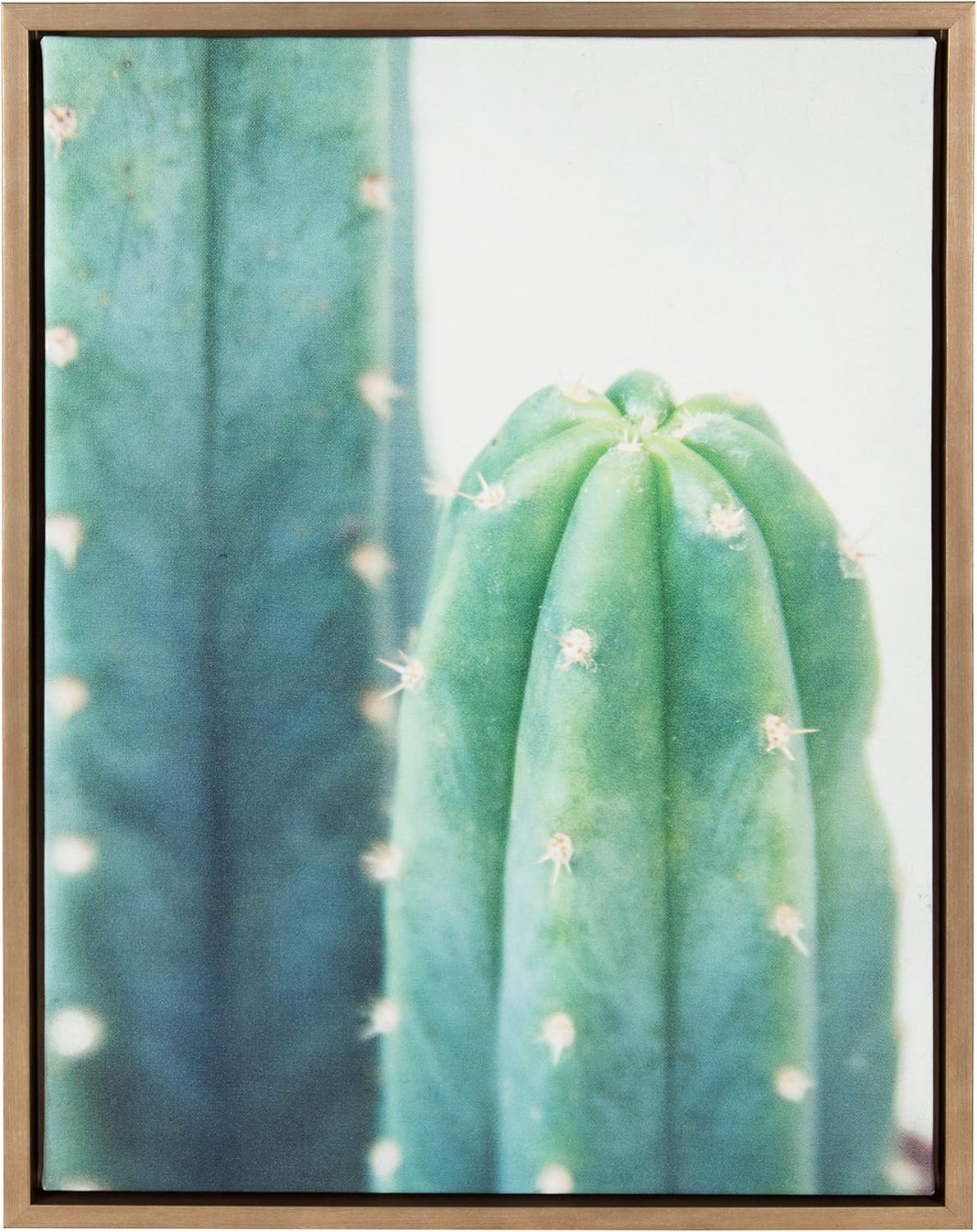 Kate and Laurel Sylvie Cactus Framed Canvas by F2 Images, 18x24, Gold Pack of 2