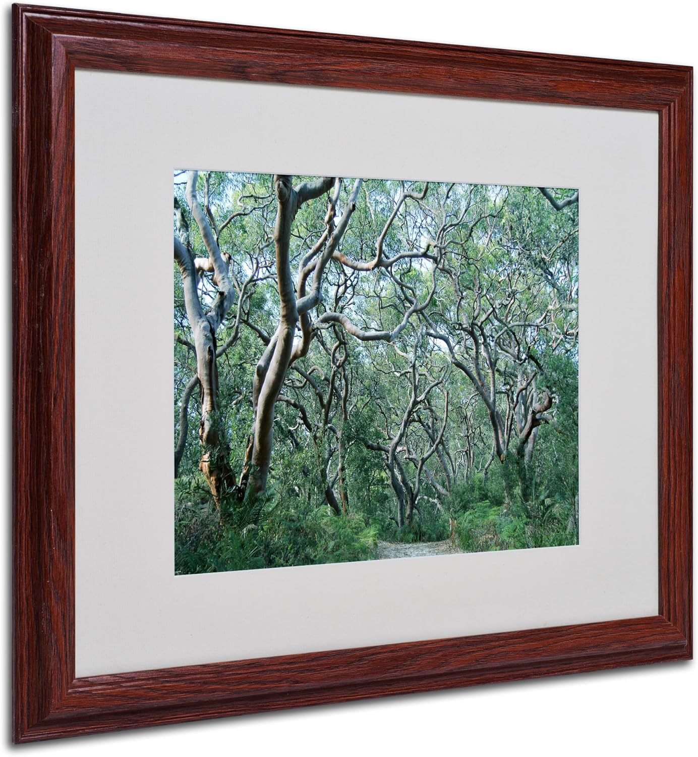 Beautiful Minds Artwork by Beata Czyzowska Young, 16 by 20-Inch, Wood Frame Pack of 2