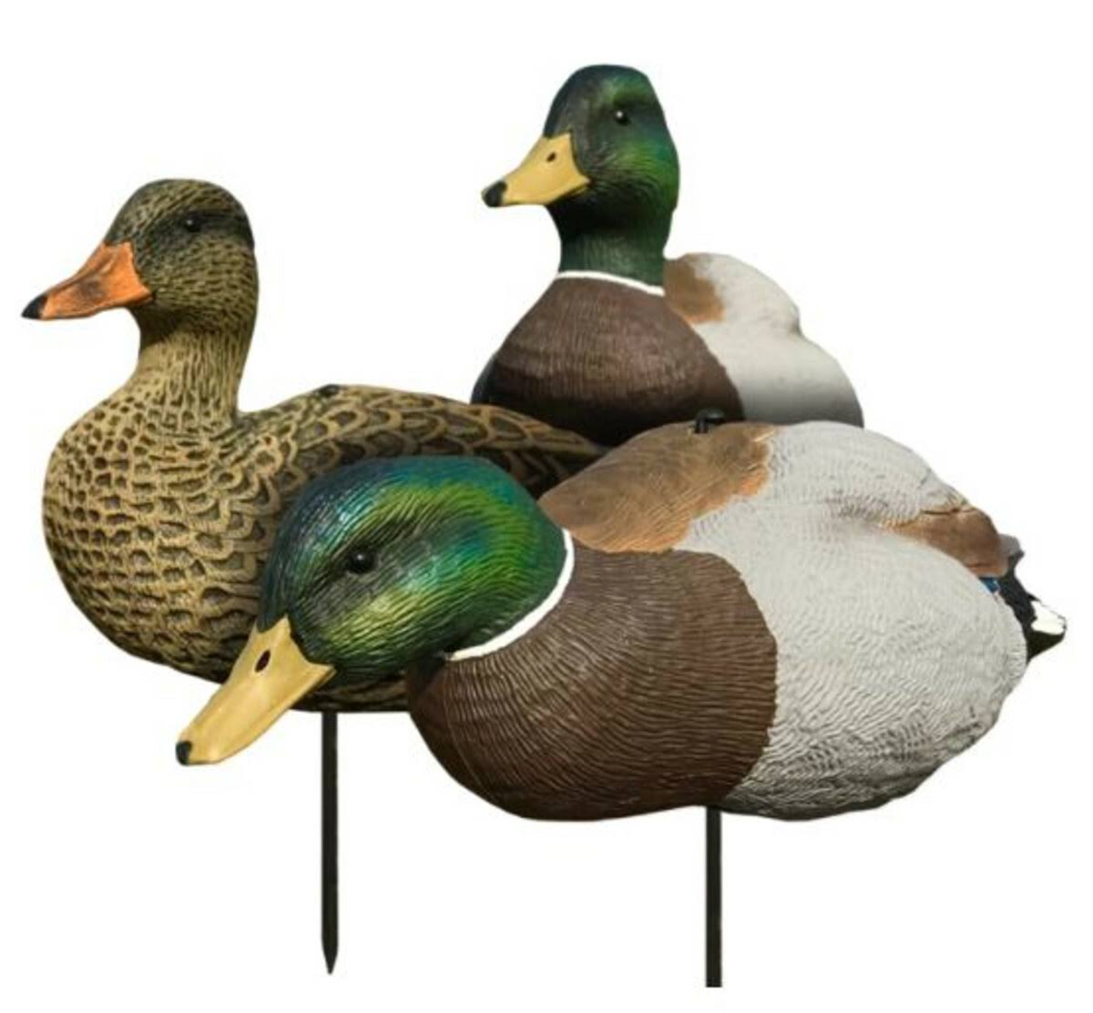 White Rock Evac Series Full Body Mallard Decoys