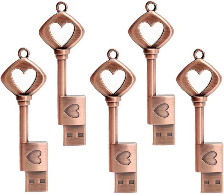 LEIZHAN 5 Pack 64GB Love Heart Key Flash Drive Vintage Thumb Drive Metal Jump Drive Cute Memory Stick Retro USB Stick Pendrive Gift U Disk Pack of 2