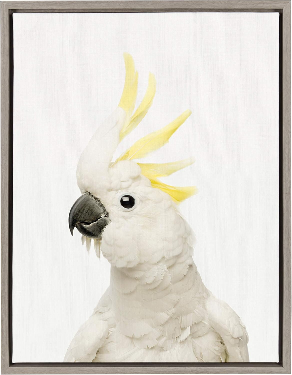 Kate and Laurel Sylvie Parrot Framed Canvas by Amy Peterson, 18x24, Gray Pack of 2