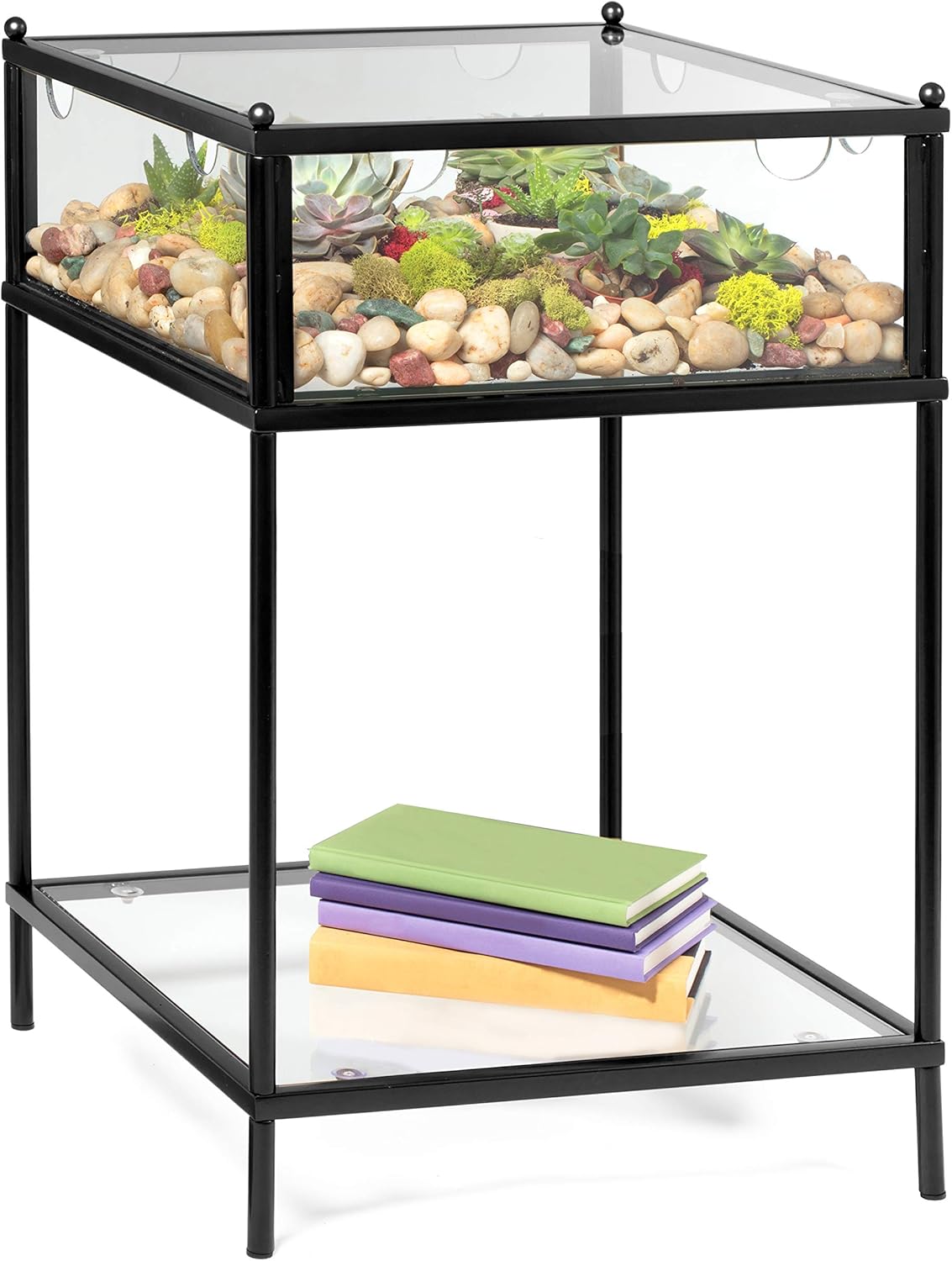 Deco Square Terrarium Display End Table with Reinforced Glass in Black Iron- 18