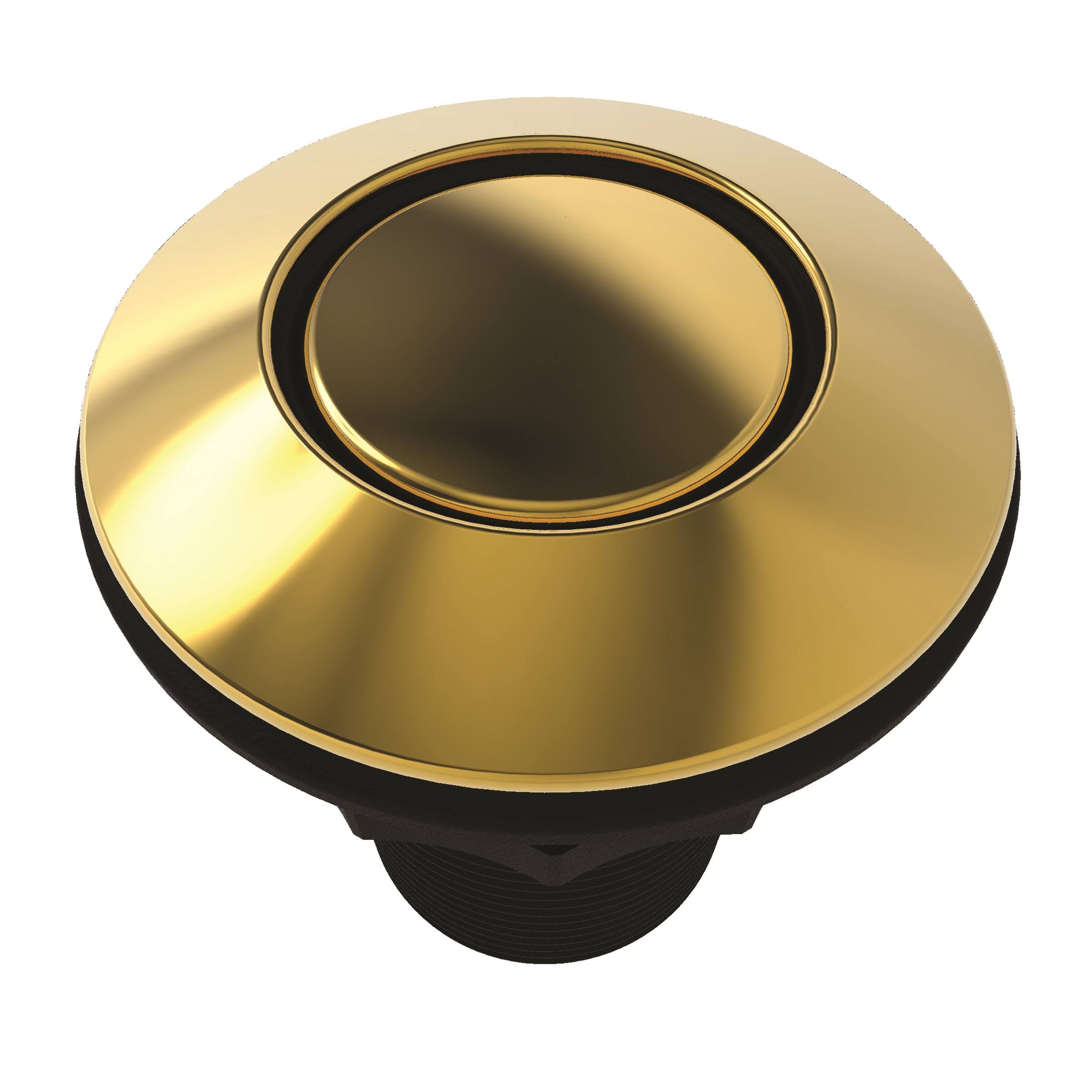 Newport Brass 111/01 Air Activated Disposer Switch - Forever Brass(PVD)