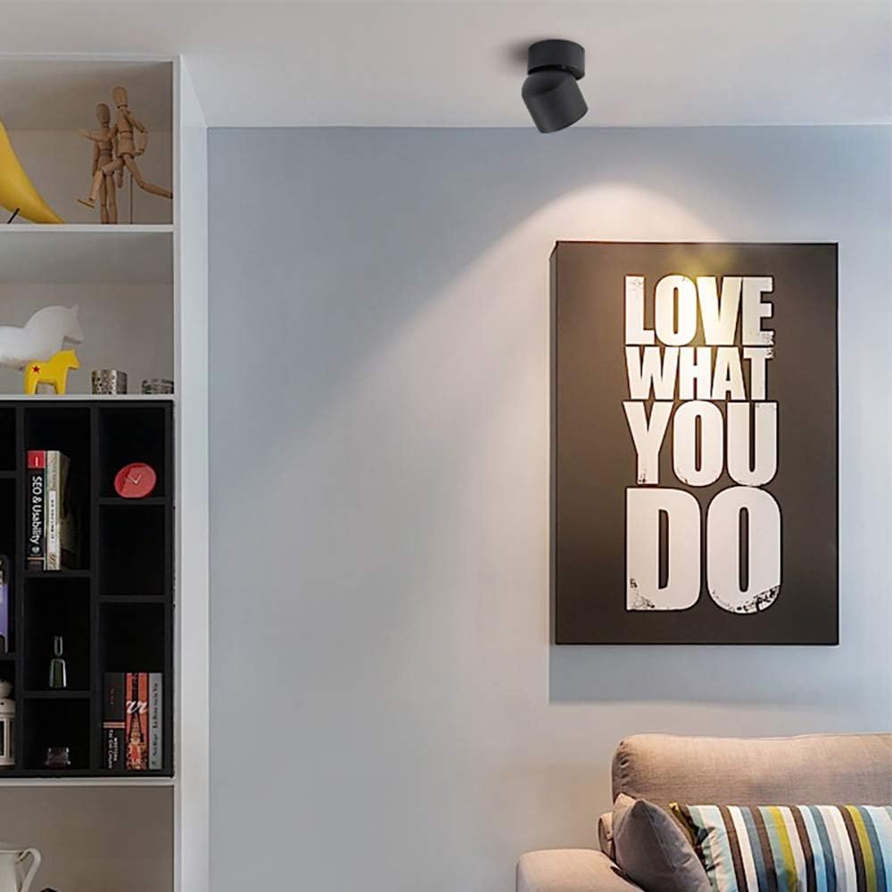 Aisilan LED COB Adjustable Ceiling Spotlight Directional Spot Light Surface Mounted Downlight 9W 3000K White Aluminum Spots Light for Cabinet Gallery Hallway Corridor Living Room MSD52W9W3K