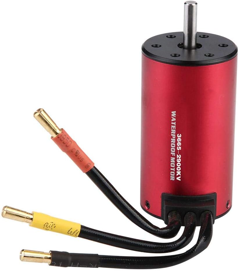 Dilwe RC Car Brushless Motor, 2900KV 3500KV Waterproof Brushless Motor for 1/8 1/10 RC Car Accessory Part(2900KV)