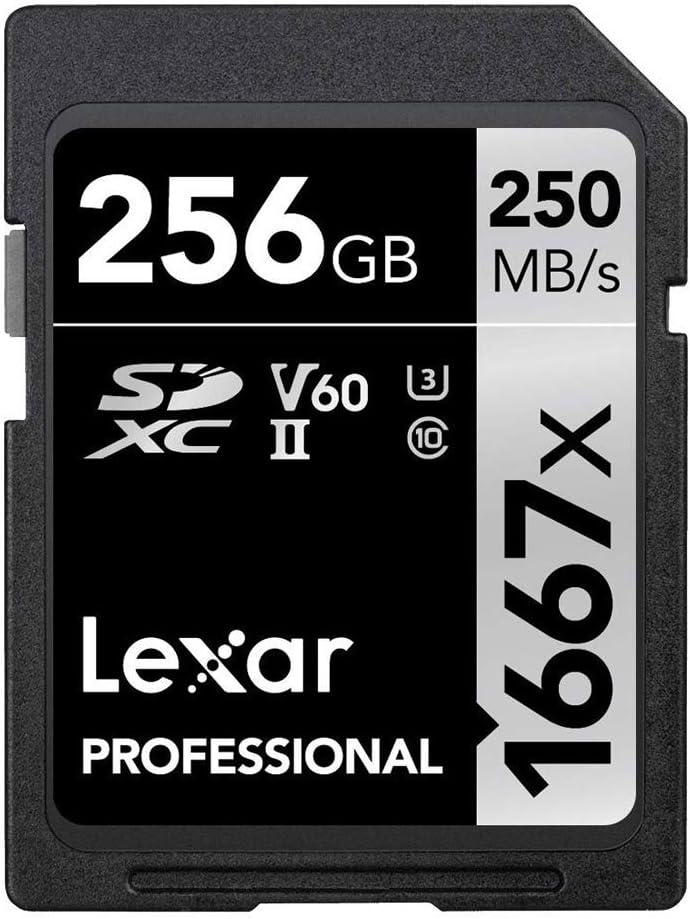 Lexar LSD256CBNA1667 Professional SDHC/SDXC 1667x UHS-II 256GB Memory Card Bundle with Accessory Kit Card Reader, Case, LCD Screen Covers, Lens Cleaning Kit & Lens Cap Keeper