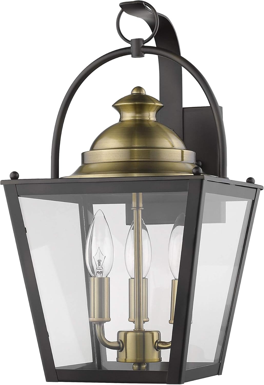 Acclaim 1842ORB Lighting, Bronze/Dark