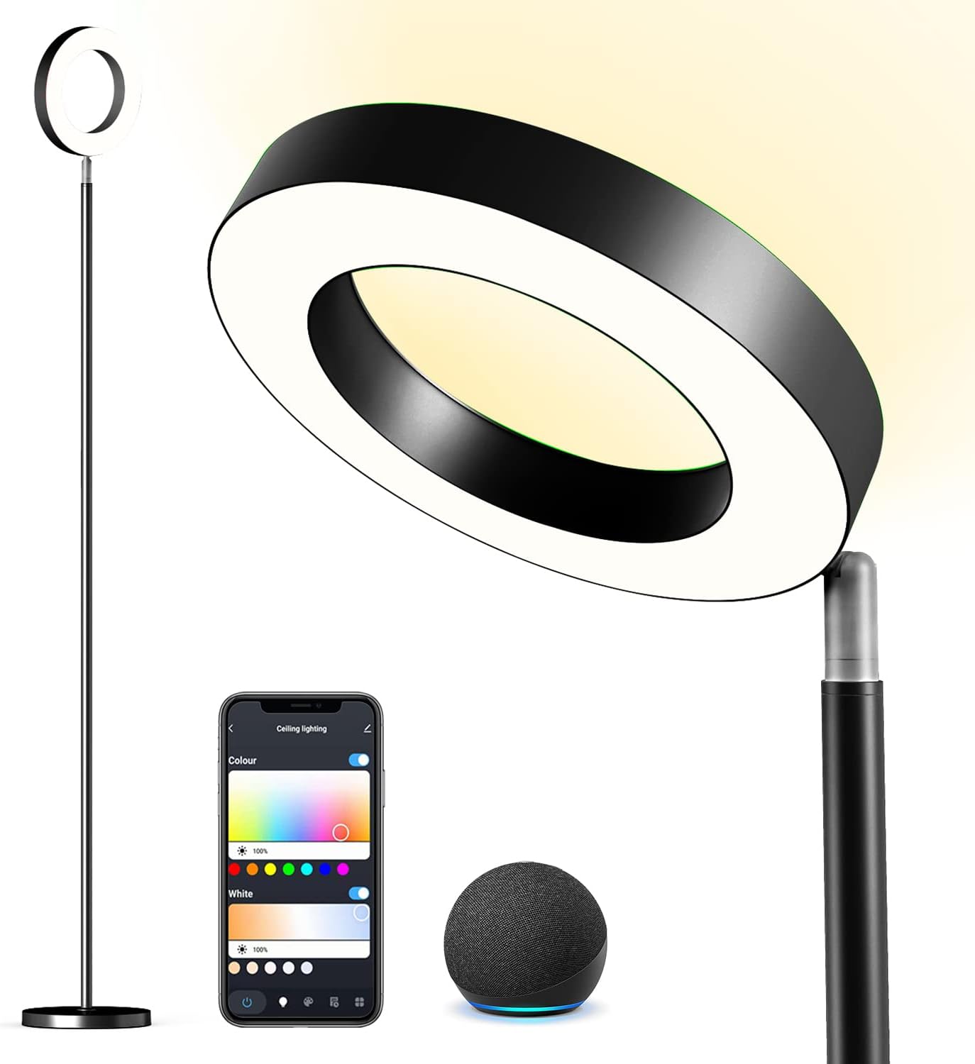 Banord Smart Floor Lamp, Independent Up/Down Standing Lamp Works with APP and Voice Control, RGB Colored LED Floor Lights for Party Living Room Bedroom, Black