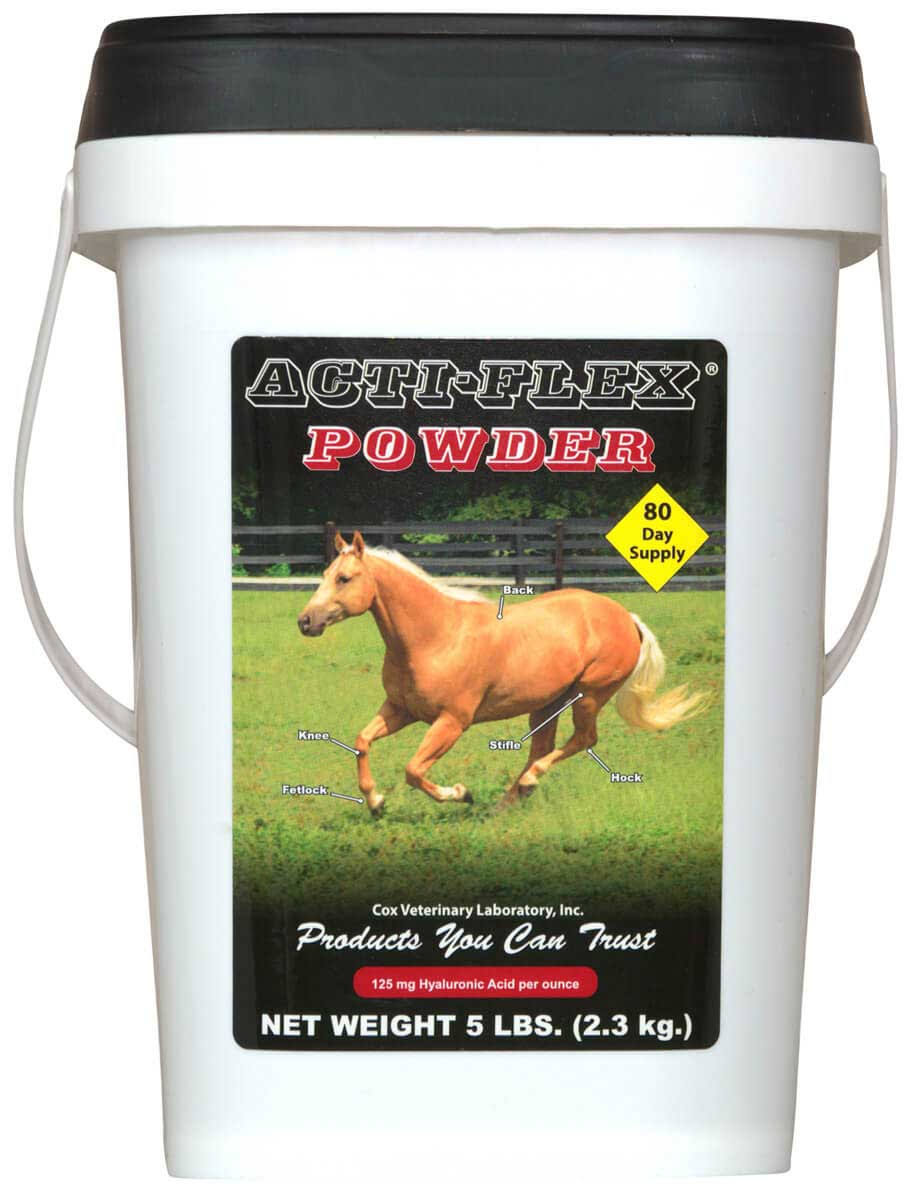 ACTi Flex Powder 5 lb